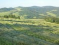 /album/fotogaleria-fotky-zo-zakamenneho/prechadzky-jul-2007-033-jpg/